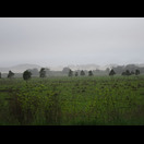 Die Sanddünen von Stockton